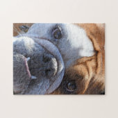 Puzzle Adorable Bulldog (Horizontal)