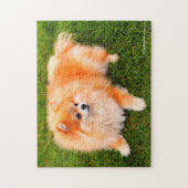 Puzzle adorable Chien Chien Chien Chien Chien Chien Chien (Vertical)