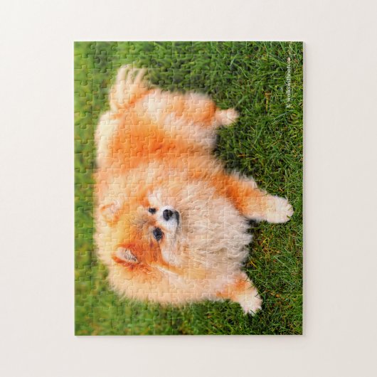 Puzzle adorable Chien Chien Chien Chien Chien Chien Chien (Vertical)