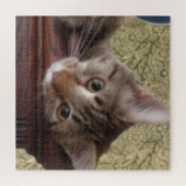 Puzzle adorable Cute Kitten (Horizontal)