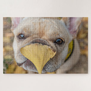 Puzzle Adorable French Bulldog