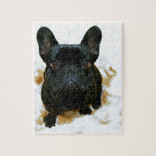 Puzzle Adorable French Bulldog Puppy!