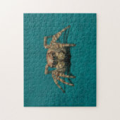 Puzzle Adorable Jumping Spider Animal Photographie (Vertical)