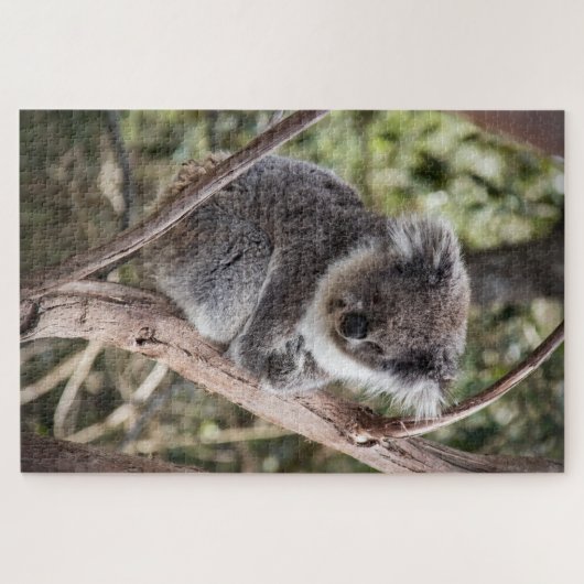 Puzzle Adorable koala (Horizontal)