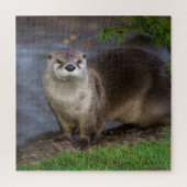 Puzzle Adorable Otter sur la Riverbank (Vertical)