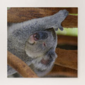 Puzzle Adorable Ours Koala (Horizontal)