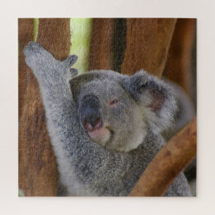 Puzzle Adorable Ours Koala