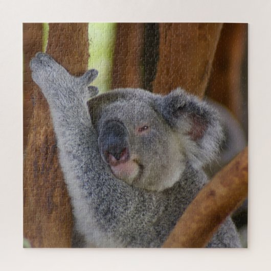 Puzzle Adorable Ours Koala (Vertical)