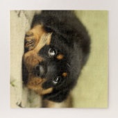 Puzzle Adorable Rottweiler Puppy (Horizontal)