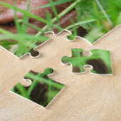 Puzzle Adorable veau écossais des Highlands (Côté)