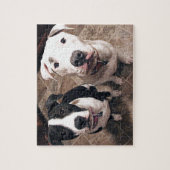 Puzzle adorables chiots pitbull chiens (Vertical)