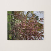 Puzzle Affichage de beauté et d'opulence (Horizontal)