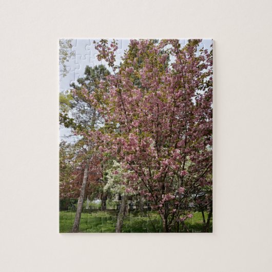 Puzzle Affichage de beauté et d'opulence (Vertical)