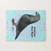 Puzzle Afficher l'ASR racer (Horizontal)