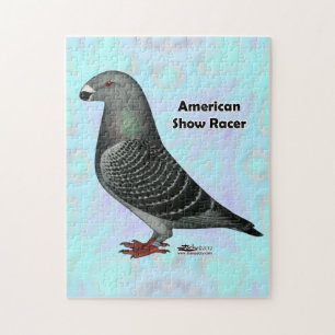 Puzzle Afficher l'ASR racer