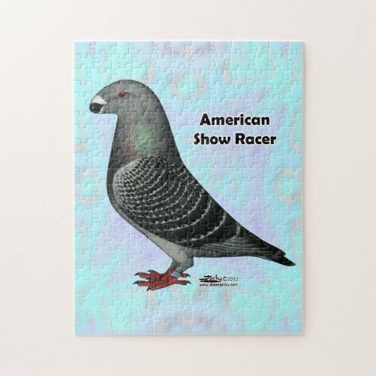 Puzzle Afficher l'ASR racer (Vertical)