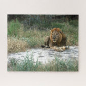 Puzzle africain Lion (Horizontal)