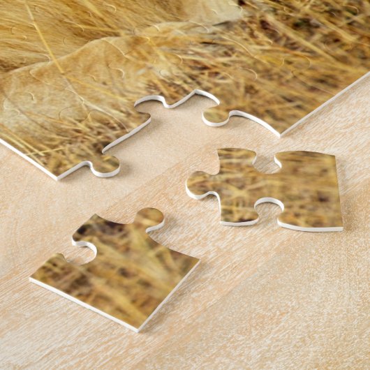 Puzzle African Lion 2 (Côté)