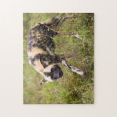 Puzzle African Wild Dog, Madikwe Game (Vertical)