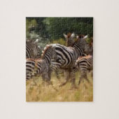 Puzzle African Zebra cool des trucs Hakuna Matata Cadfts (Vertical)