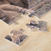 Puzzle Afrique, Botswana, delta de l'Okavango. Lions (Côté)