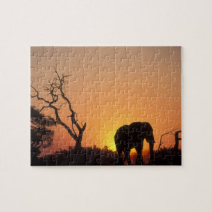 Puzzle Afrique, Botswana, Parc national de Chobe, Cadre