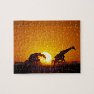 Puzzle Afrique, Botswana, Parc national de Chobe, Girafe