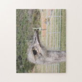 Puzzle Afrique du sud ferme d'autruches. (Vertical)