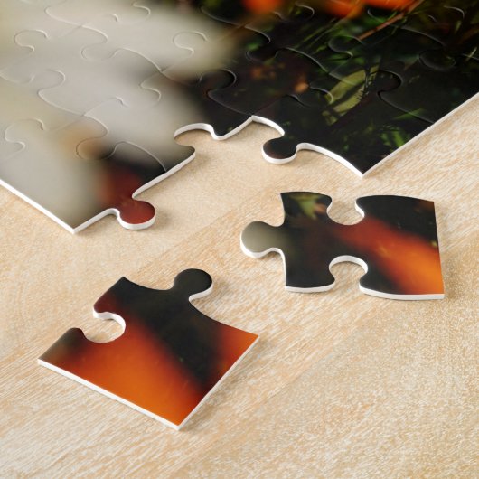 Puzzle Afrique du Sud Wild Namaqualand Fleurs (Côté)