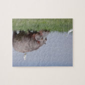 Puzzle Afrique - Hippo (Horizontal)
