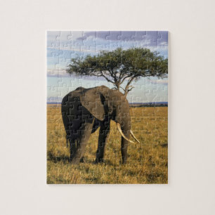 Puzzle Afrique, Kenya, Maasai Mara. Un éléphant dans le