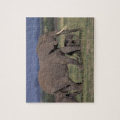 Puzzle Afrique, Kenya, Parc national d'Amboseli. Africain (Vertical)