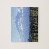 Puzzle Afrique, Kenya, Parc national d'Amboseli, Herd de (Vertical)