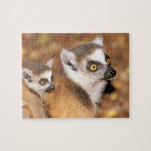 Puzzle Afrique, Madagascar, Berenty Private Reserve. (Horizontal)