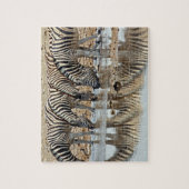 Puzzle Afrique, Namibie, Etosha NP. Zebra de Burchell (Vertical)