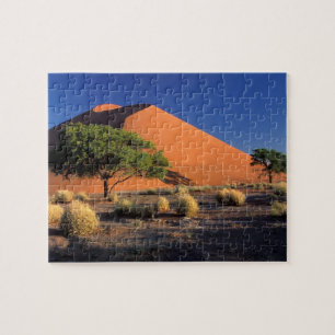 Puzzle Afrique, Namibie, Parc Namib-Naukluff, Sossosvlei
