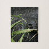 Puzzle Afrique, Ouganda, Bwindi (Vertical)