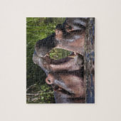 Puzzle Afrique. Tanzanie. Épargne d'hippopotame (Vertical)