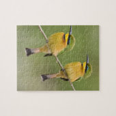 Puzzle Afrique. Tanzanie. Little Bee Eaters à Manyara (Horizontal)