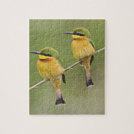 Puzzle Afrique. Tanzanie. Little Bee Eaters à Manyara (Vertical)