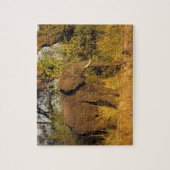 Puzzle Afrique, Zimbabwe, Victoria Falls National Park. (Vertical)