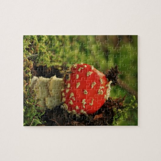 Puzzle Agaric de mouche (Horizontal)