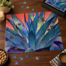 Agave au coucher du soleil