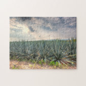 Puzzle Agave bleu (Horizontal)