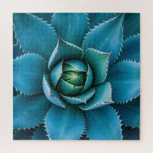 Puzzle Agave Succulent Géométrique Macro Sarcelle Vibrant