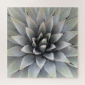 Puzzle Agave Succulent Plante Cactus Vert sauge (Horizontal)