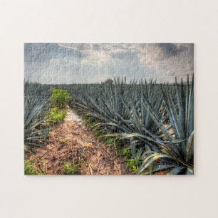 Puzzle Agave Tequilana