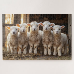 Puzzle Agneaux adorables dans une ferme rustique rangée