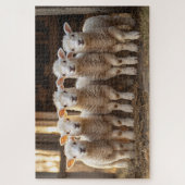 Puzzle Agneaux adorables dans une ferme rustique rangée (Vertical)