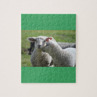 Puzzle Agneaux ensemble